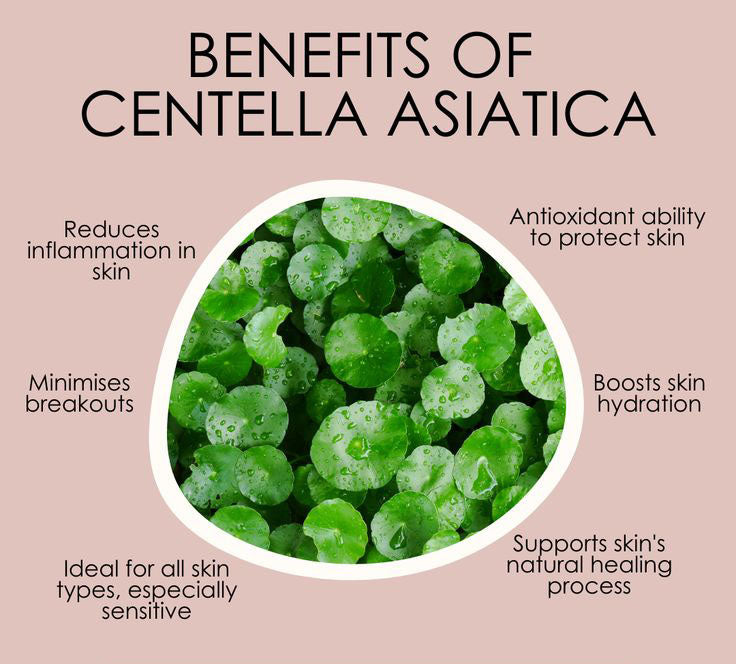 Centella asiática (5 viales x 10 ml)