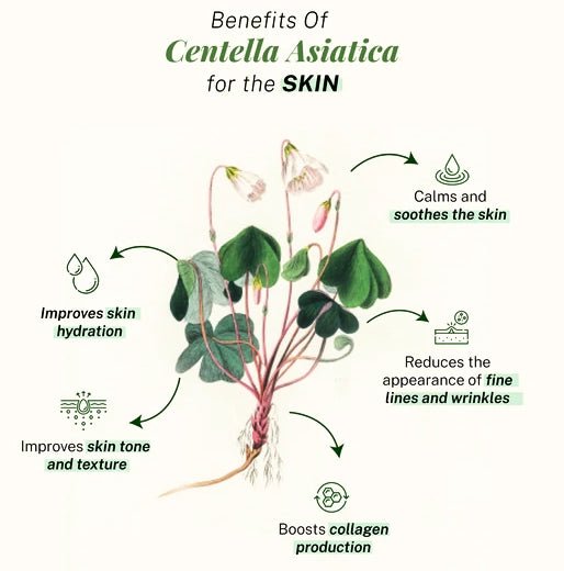 Asian Centella (5 Vials x 10 ml) - SlimSpaOnline