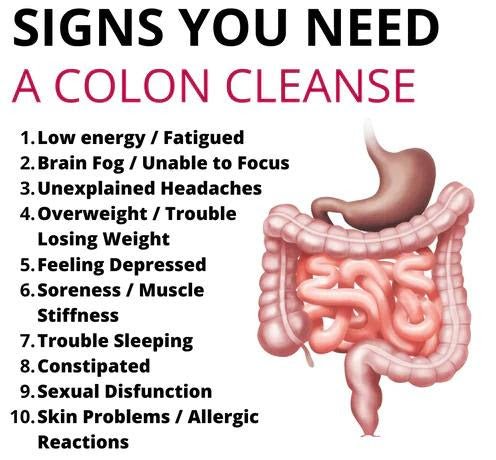 Dieter's Cleanse (120 Caps) - SlimSpaOnline