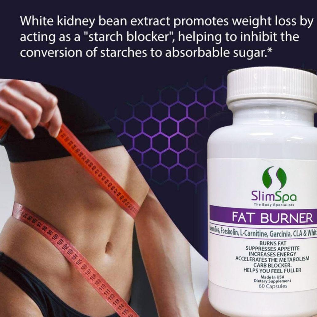 Fat Burner Maximum Strength 60 Caps supplement facts — professional metabolism boost formula for estheticians | SlimSpa