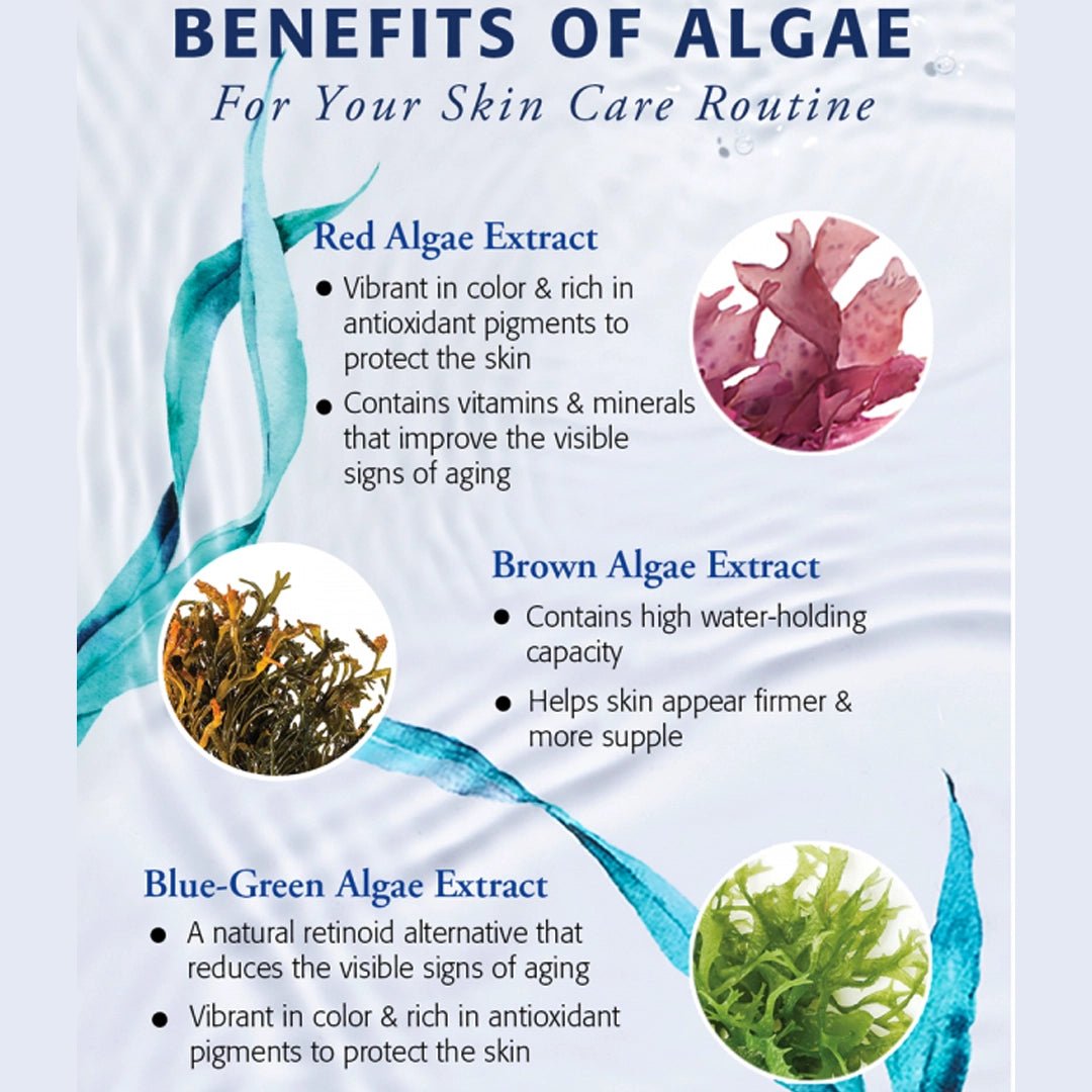 Peel - Off BODY MASK Kit - SlimSpaOnline