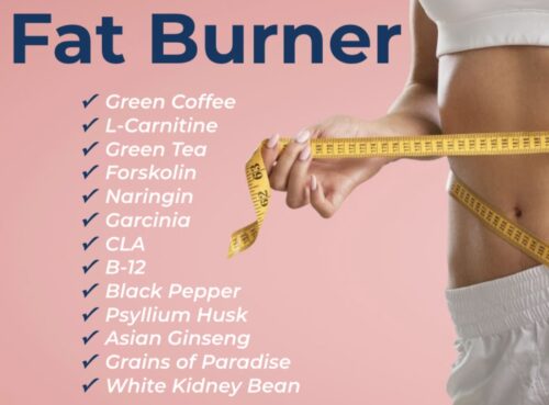 Fat Burner Maximum Strength (60 caps)-1778
